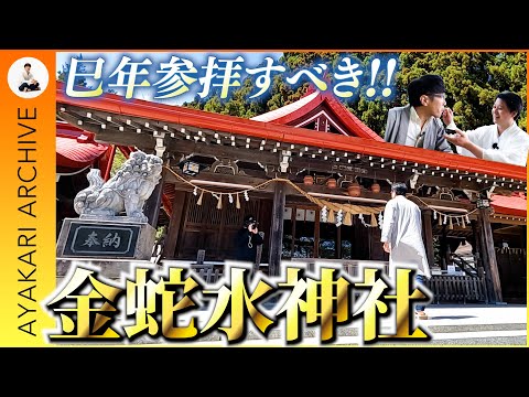 Repost] Recommended for the Year of the Snake 🐍‼️ Guaranteed to