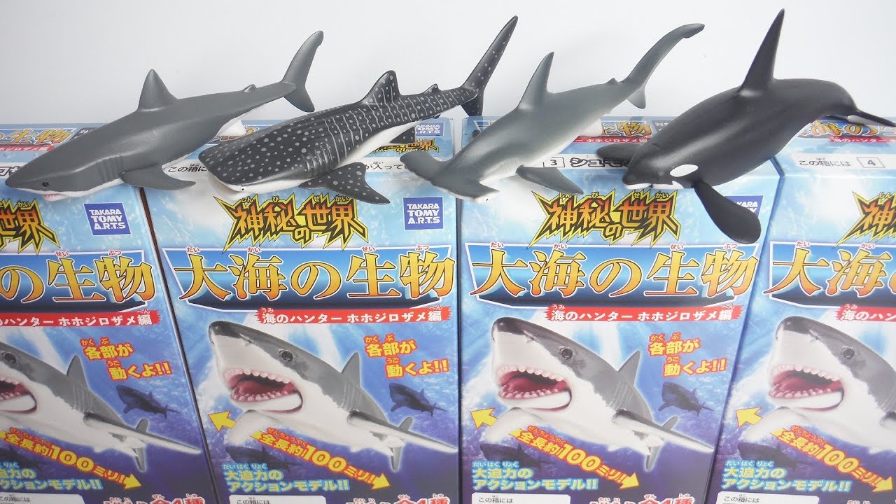 Mysterious world Ocean creatures 