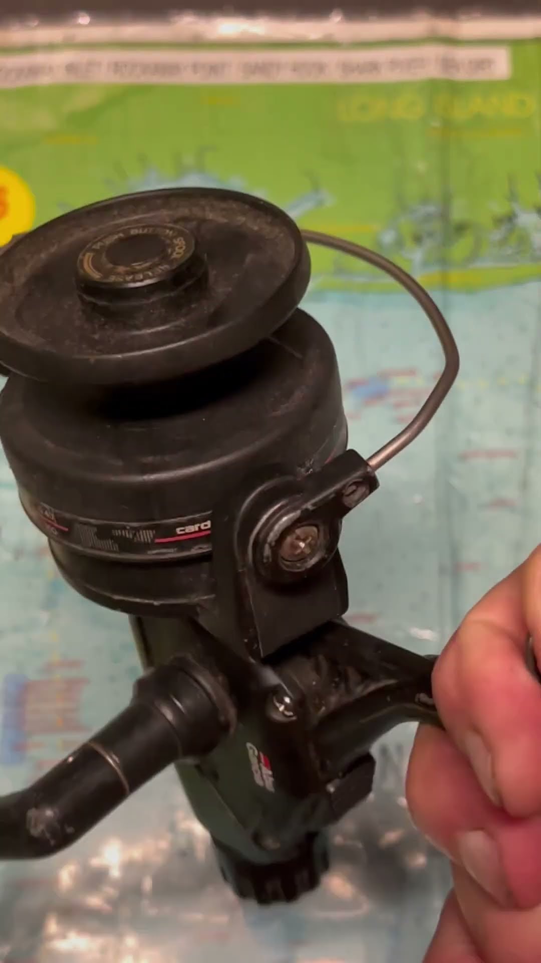 Abu Cardinal 556 fishing reel for the day #fish - YouTube