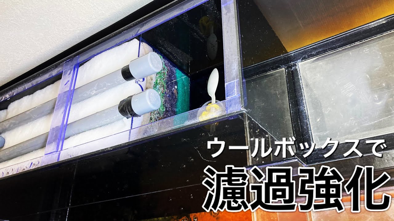 ろ過強化】キレる水を目指し上部フィルターを改造しウールボックスを