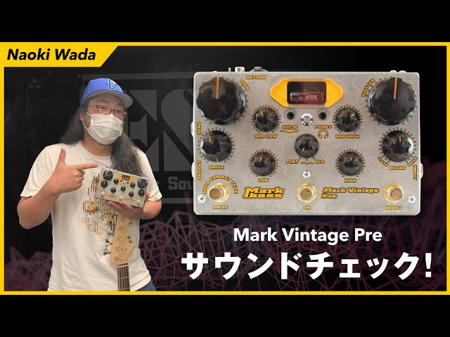 エフェクター】Markbass/Mark Vintage Pre SoundCheck by 和田 直起