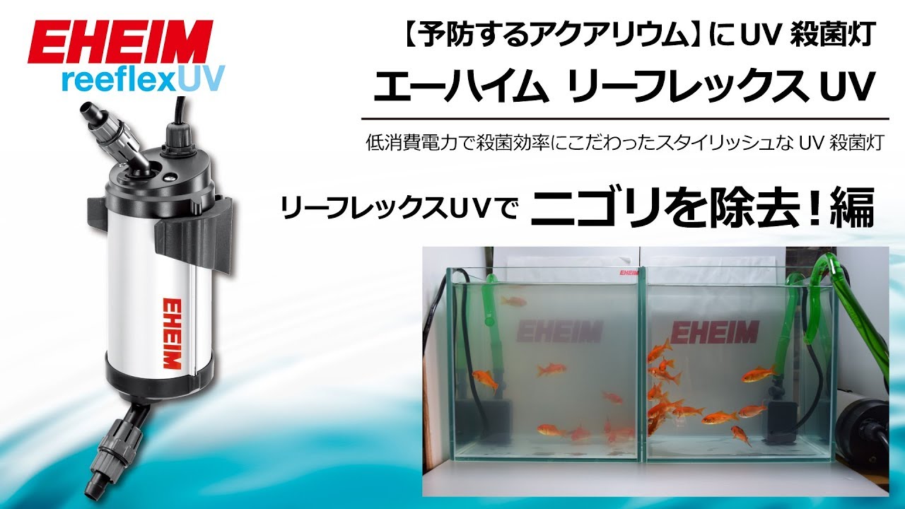 EHEIM｜エーハイム リーフレックスUV+e 500 UV殺菌灯 ｜ 外部式