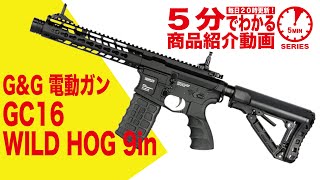 5分でわかる】G&G GC16 WILD HOG 9in 電動ガン ワイルドホッグ【Vol