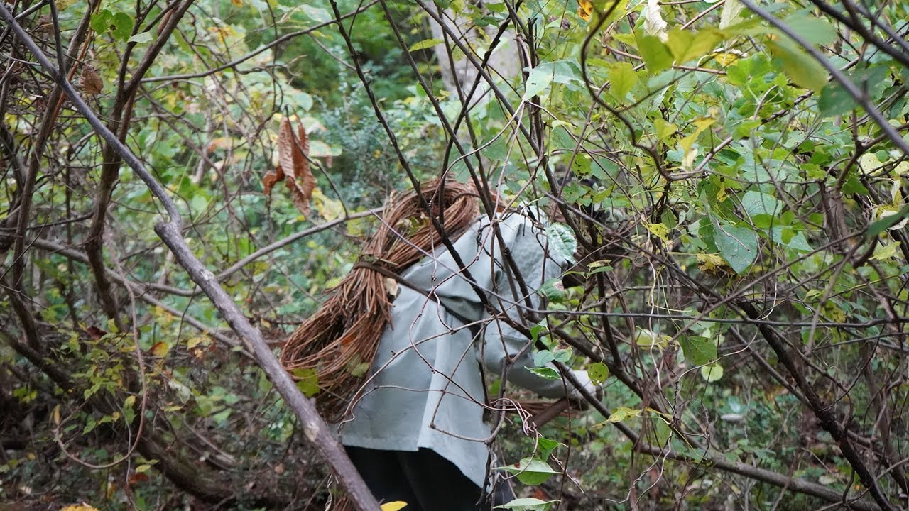 信さん、あけびの蔓を採りに山へ - YouTube