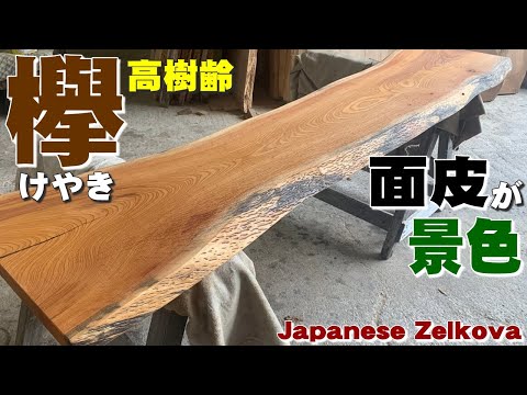 高樹齢ケヤキ】ケヤキ一枚板×オイル仕上げ【木の店さんもく】How To