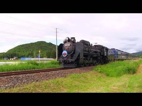 Japanese Steam Locomotive D51-498 Running | SL Ihatov Iwate