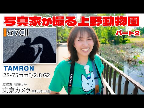 a7CII】28-75mm F/2.8 Di III VXD G2 上野動物園パンダスナップ撮影