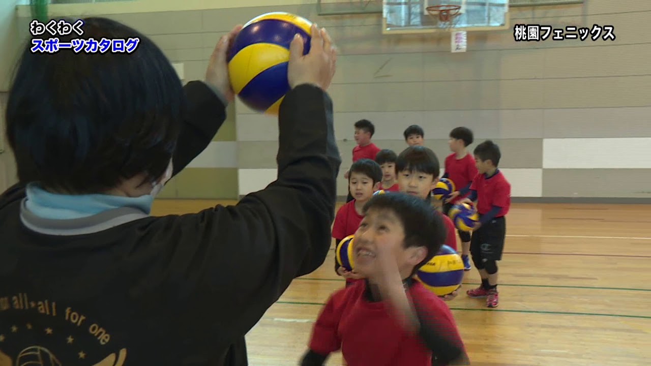 わくわくスポーツカタログ：「桃園フェニックス」R3.2.16 - YouTube