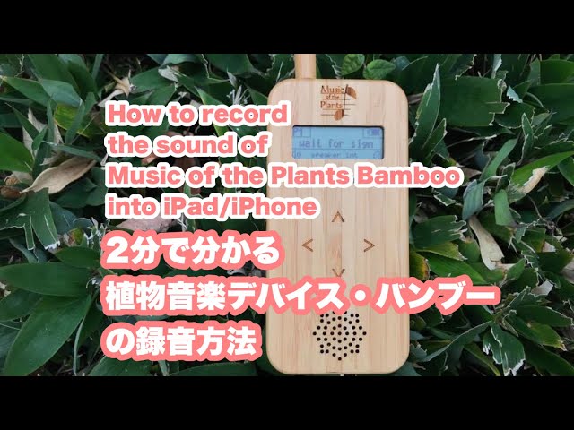 How to record the sound of Music of the Plants Bamboo into iPad