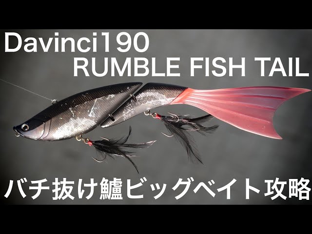 エレメンツ「ダヴィンチ＆ランブルフィッシュテール」で東京湾のバチ
