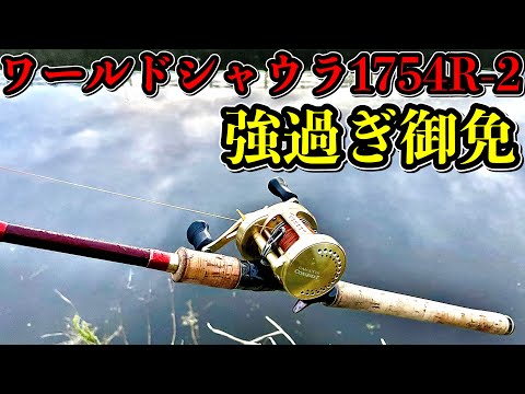 ワールドシャウラ1754R-2の精度と強度で挑むナマズ・雷魚ハント - YouTube