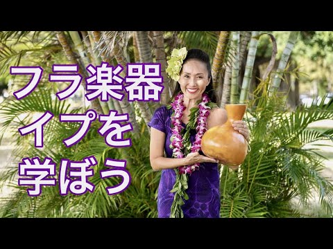 基礎から学ぶフラ楽器】イプの基本の叩き方、選び方、扱い方 Hula