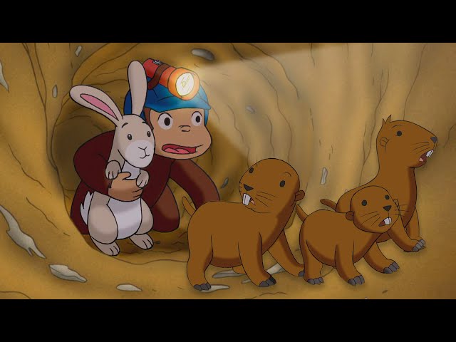 ジョージのホリネズミの冒険 🐵 おさるのジョージ - YouTube