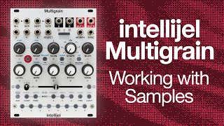 intellijel Multigrain モジュラーシンセ Multigrain - intellijel