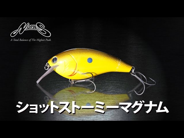 Nory's] Shot Stormy Magnum - A thorough explanation by Nory's pro