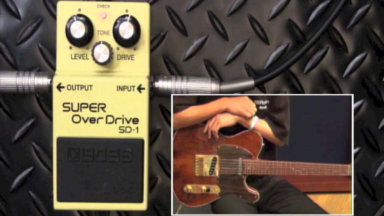 試奏動画】BOSS SD-1 Super Over Drive【BOSS COMPACT PEDAL 100th