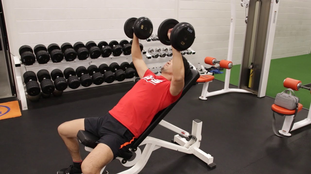 インクラインベンチプレス（ダンベル） - YouTube
