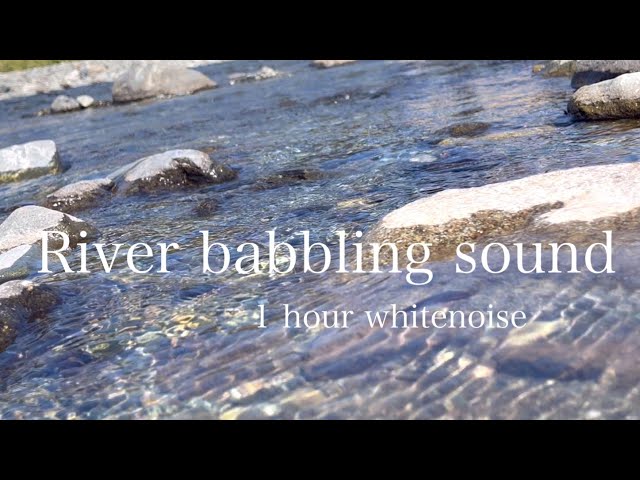 ホワイトノイズ】川のせせらぎ音1時間1hour |勉強|睡眠|流水音|river
