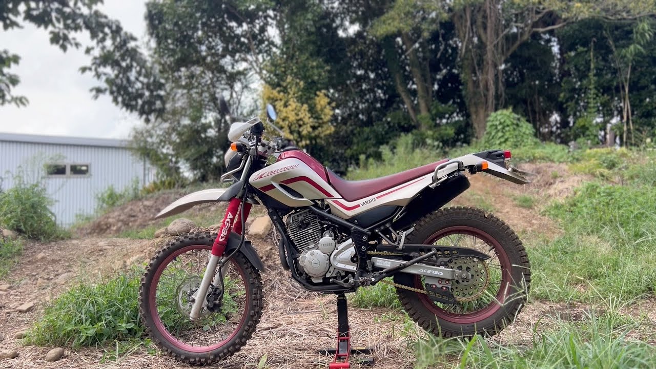 DIY整備】メーター改ざんされたセローが走るまでの記録 部品代総額〇〇