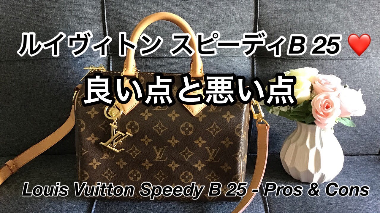Eng Sub] Louis Vuitton Speedy B 25 Pros & Cons: The pros and cons