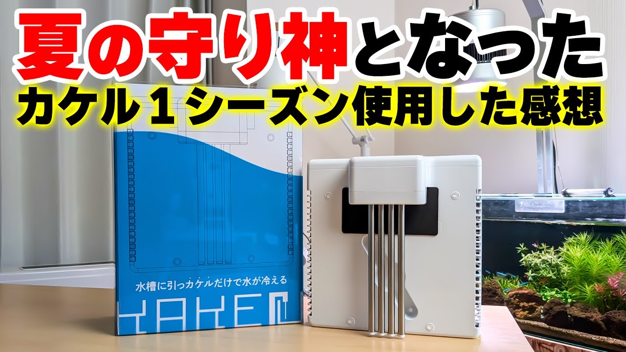 Aquarium product review] Is it worth buying after all? My