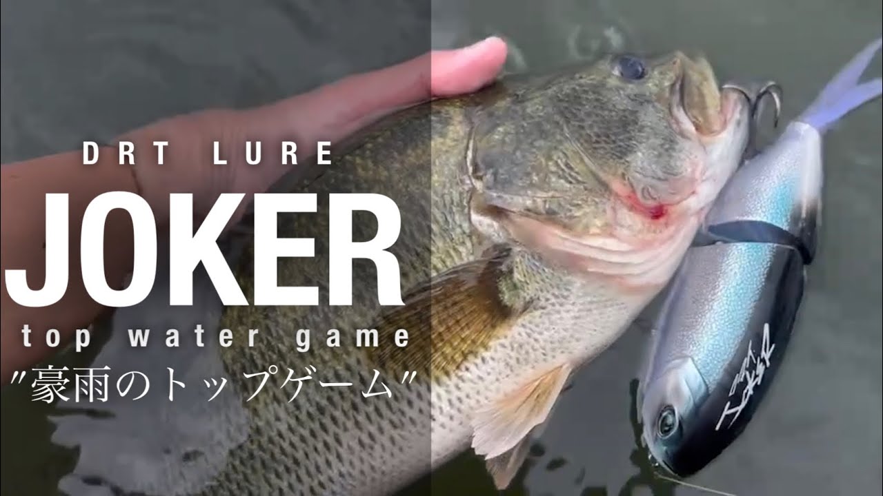 琵琶湖 バス釣り】バイト丸見え水面炸裂！クラッシュジョーカー