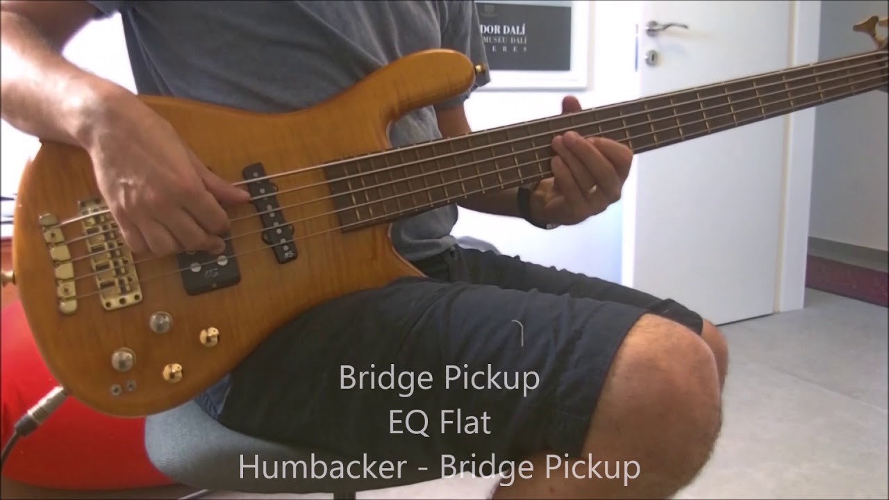 Warwick Streamer Jazzman 5 - Demo - YouTube