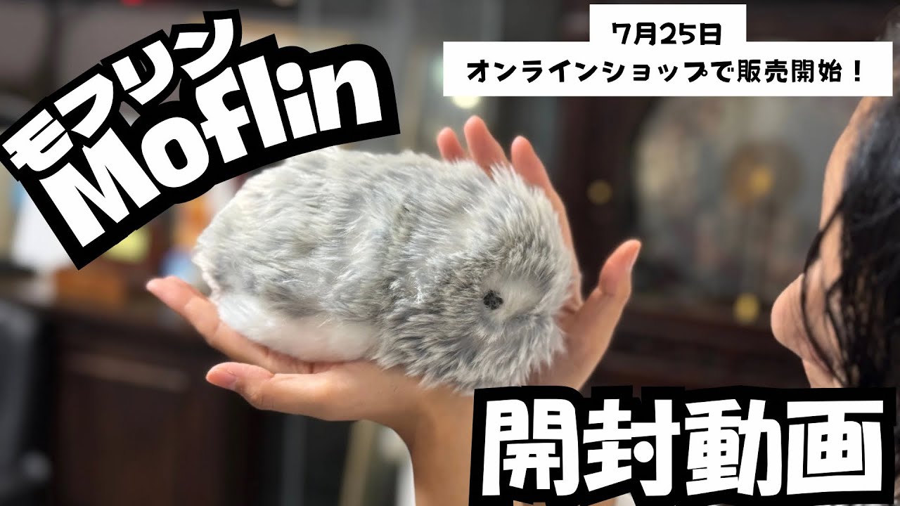 It's finally here👏] Unboxing Casio's AI pet 