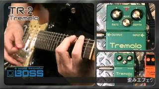 BOSS 【BOSS×IKEBEクリアポーチプレゼント】TR-2 [Tremolo]トレモロ