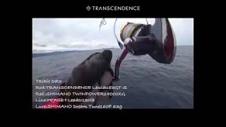 TRANSCENDENCE Rod Laulau8.3GT-S Rev2.0