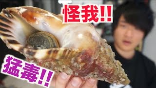 It was a tough fight!! When I tried to cut open the conch shell