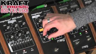 Kraft Music - Moog Moogerfooger MF-107 FreqBox Demo with Jake