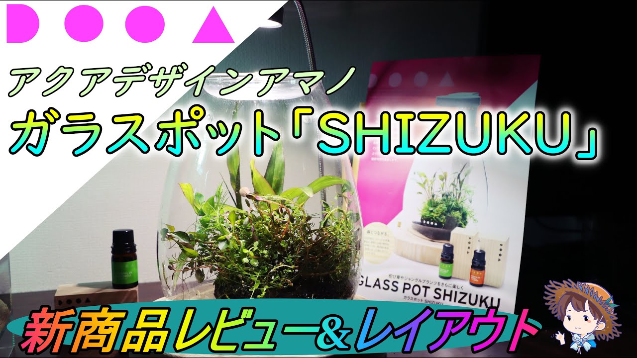 ADA_DOOA】ガラスポット「SHIZUKU」商品レビュー&レイアウト しずく