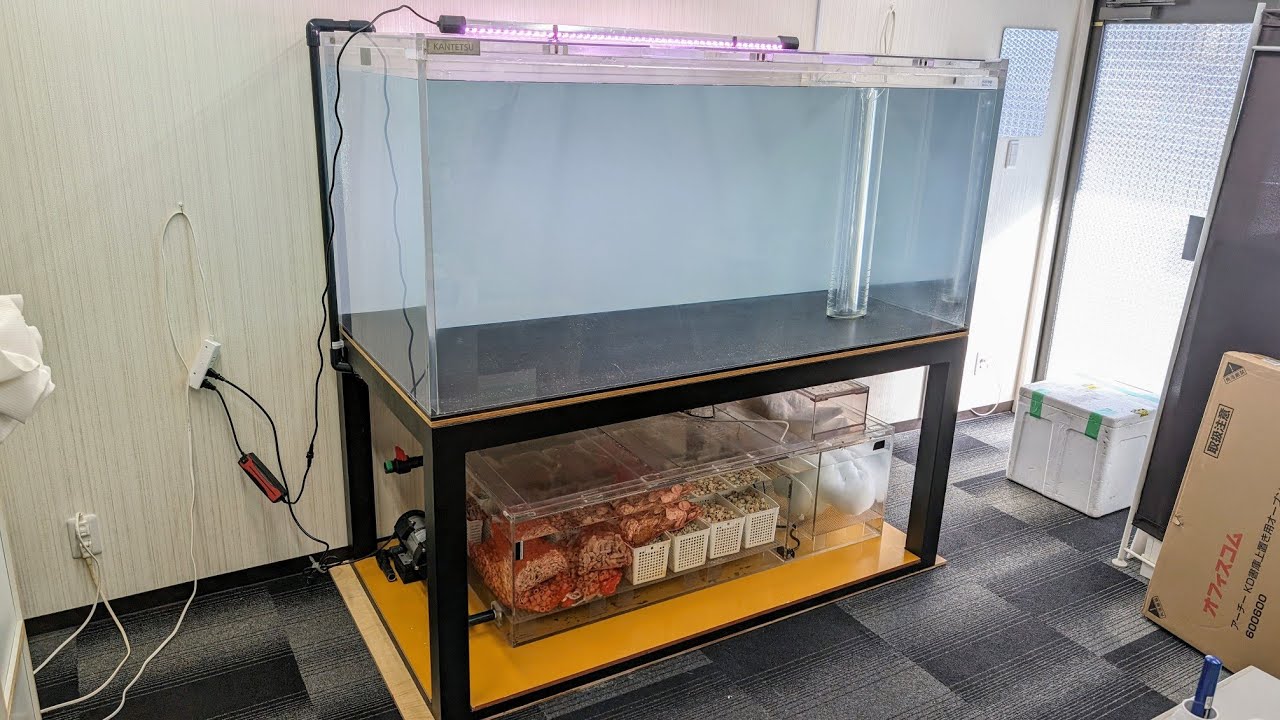大型水槽】カンテツ製1700✕900✕800オーバーフロー水槽を紹介！高さ