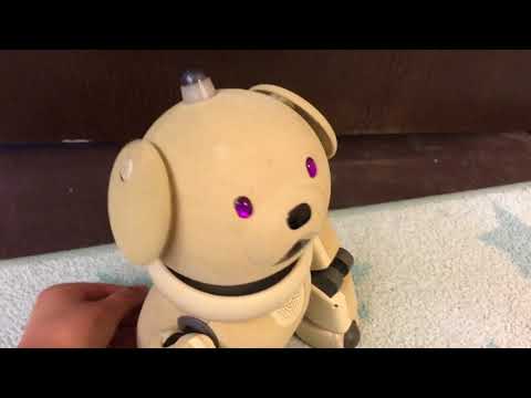 Kawaii Aibo Bluetooth Suede ERS-311 - YouTube