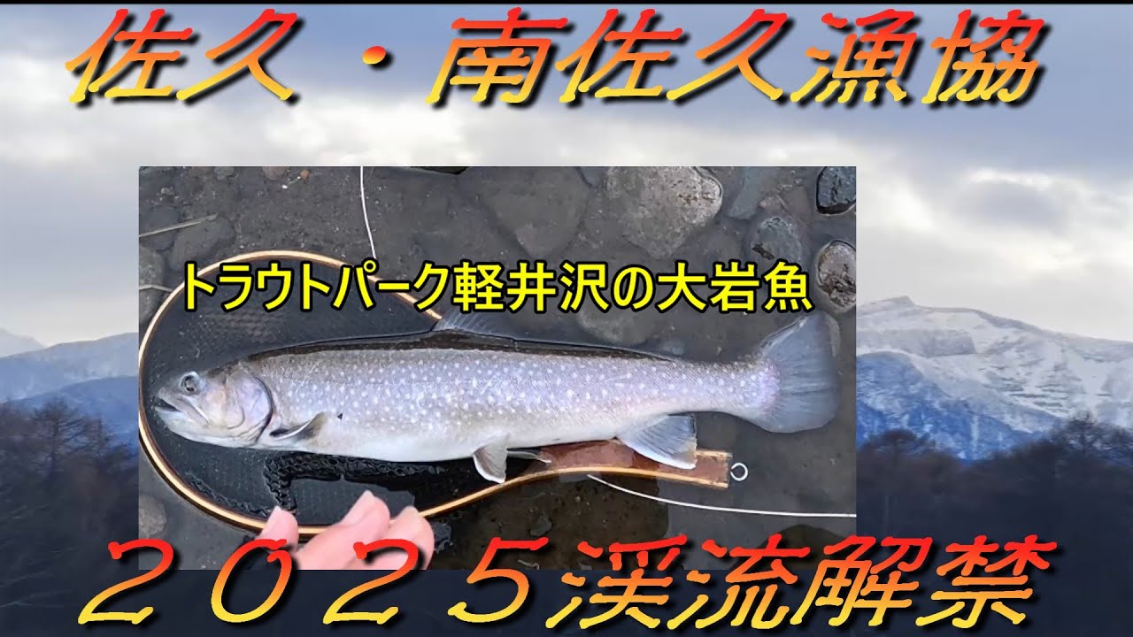 2025シーズン渓流解禁 佐久・南佐久漁協 シーズン開幕はトラウトパーク