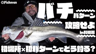 Beams CRAWLA8.3L+ アーカイブ - Fishman（フィッシュマン）
