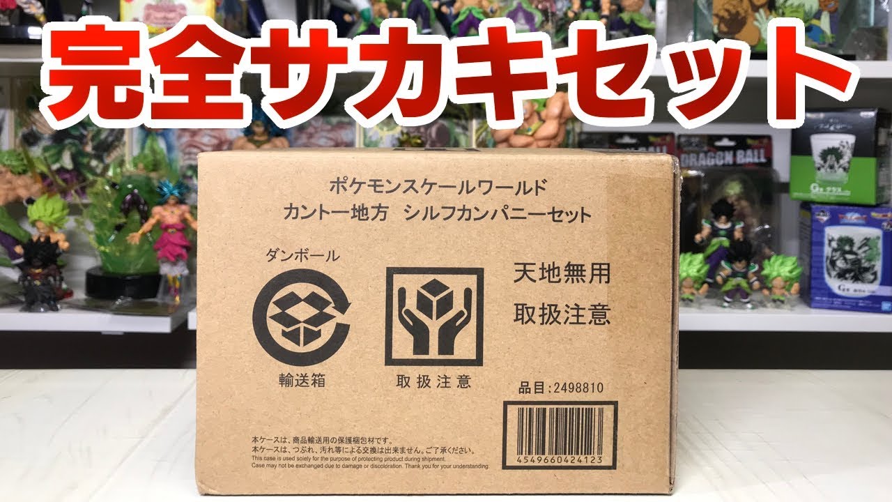 ついにボス登場！ポケモン スケールワールド シルフカンパニーセット