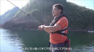 Zenaq Gahoujin (Eging Rod) Accura AG-86 RG Guides