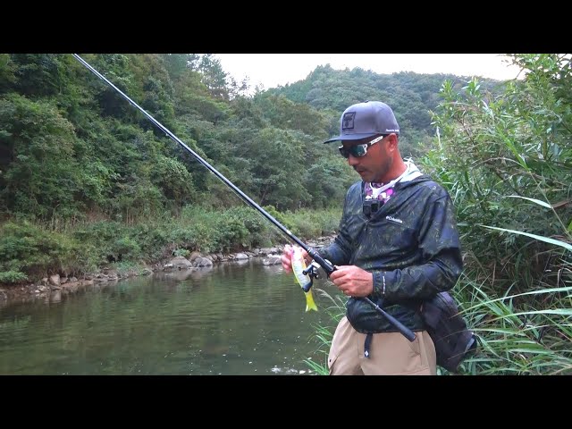 How to use the Downs Swimmer ∞240 effectively. - YouTube