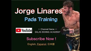 Jorge Linares pads Work Training ホルヘ・リナレス ミット打ち