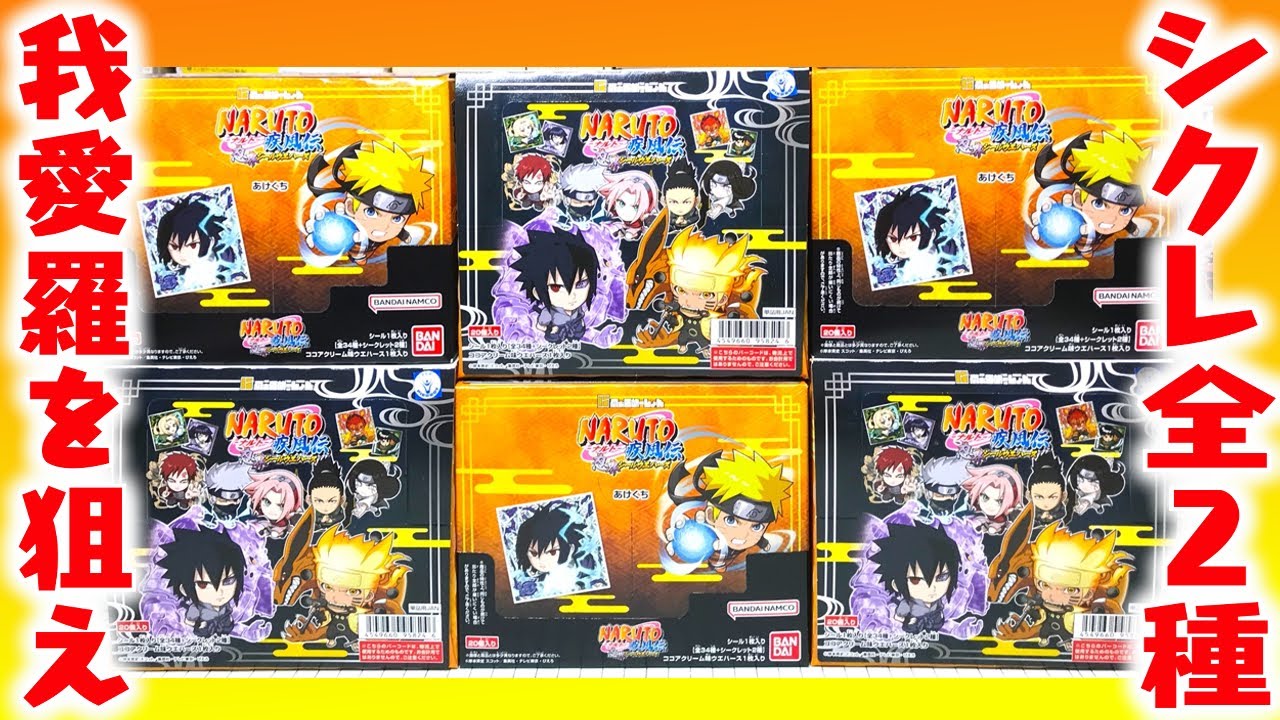 シークレット全2種！にふぉるめーしょん NARUTO ナルト疾風伝 忍界