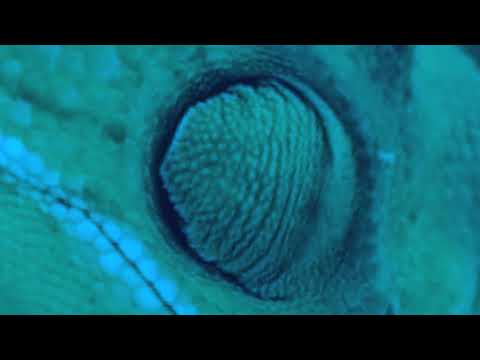 WELD MUSIC - YouTube