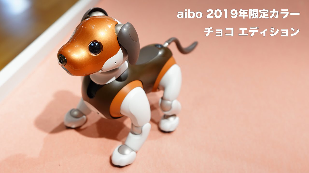 なちゅら】⭐︎希少美品⭐︎ sony aibo 限定カラーチョコエディション