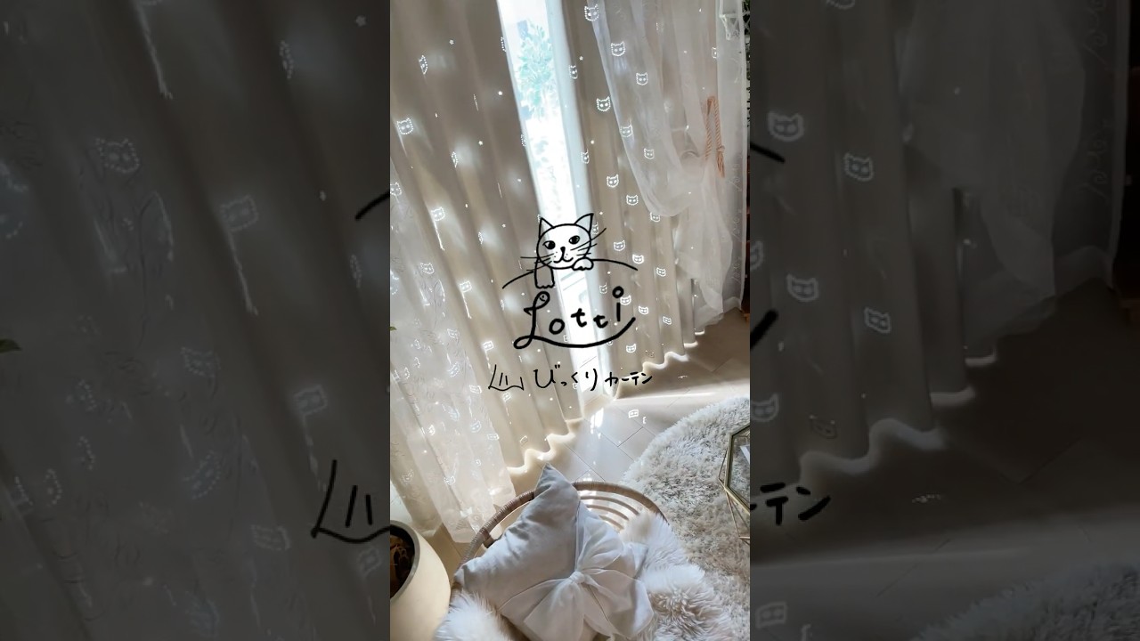 Lotti（ロッティ）】びっくりカーテンの猫ちゃんをテーマにした