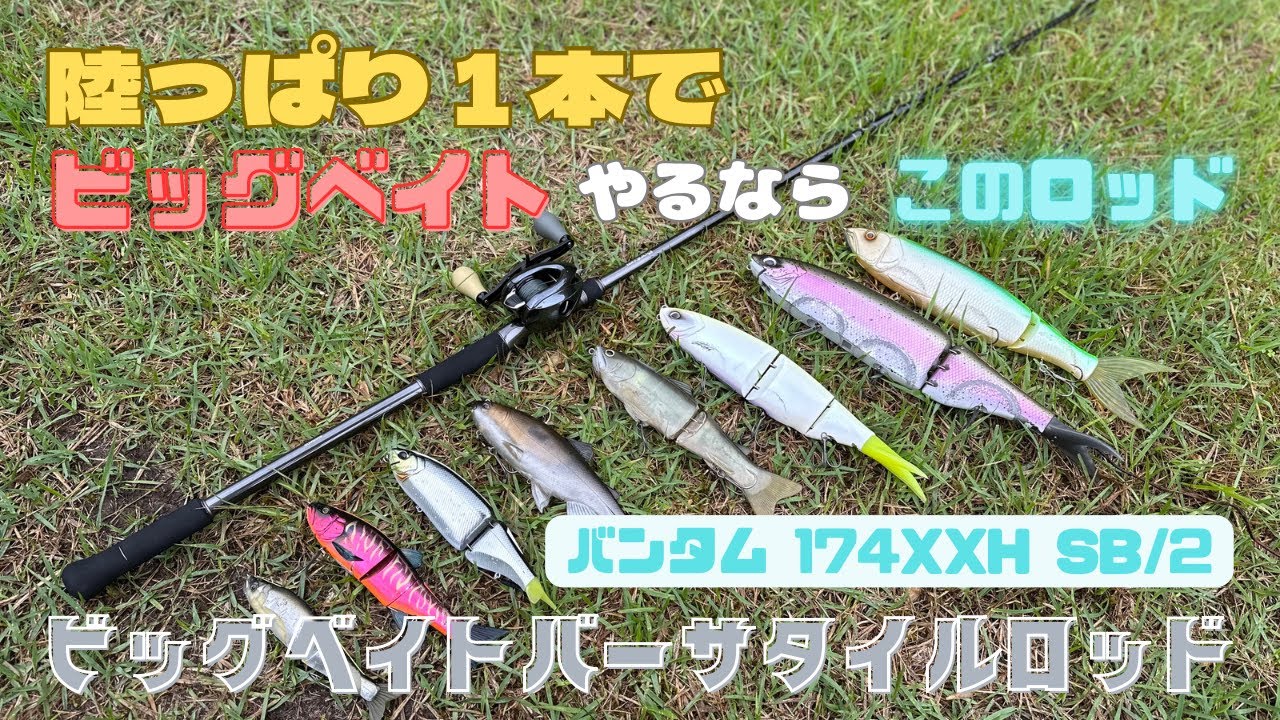 陸っぱり1本でビッグベイトやるならこのロッド！【シマノ バンタム