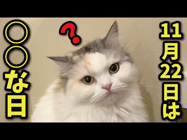 New Fact] November 22nd is actually XX day!? - YouTube
