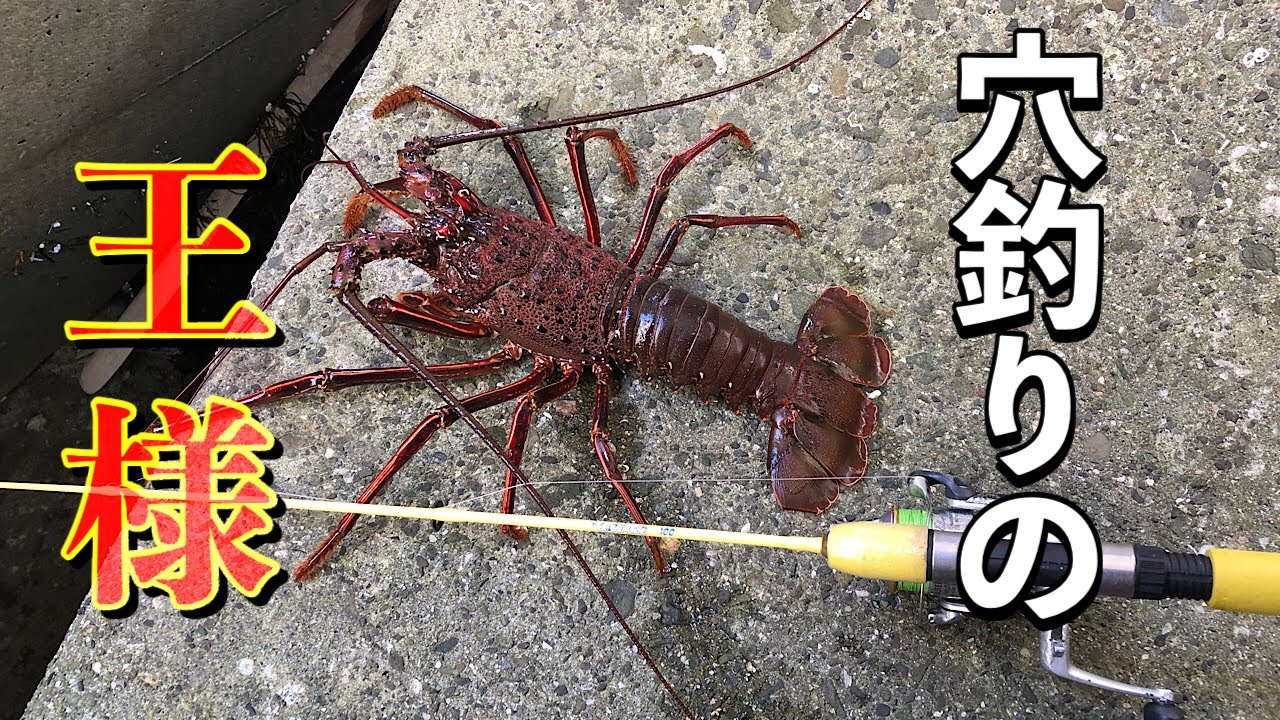 伊勢海老釣り、穴釣りテトラセット