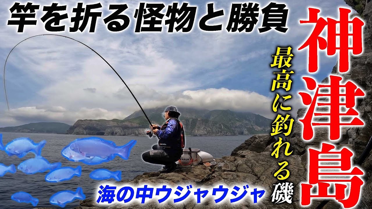 The size is unbelievable! A serious battle with a giant Izumi that