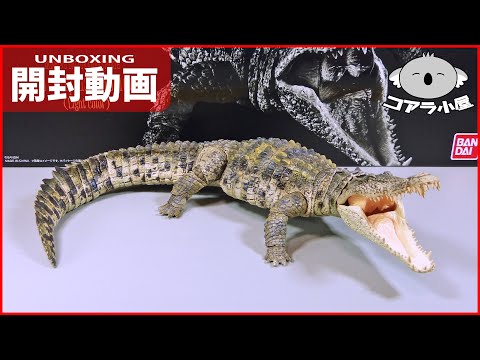 The Nile crocodile from the Ultimate Creature Encyclopedia has